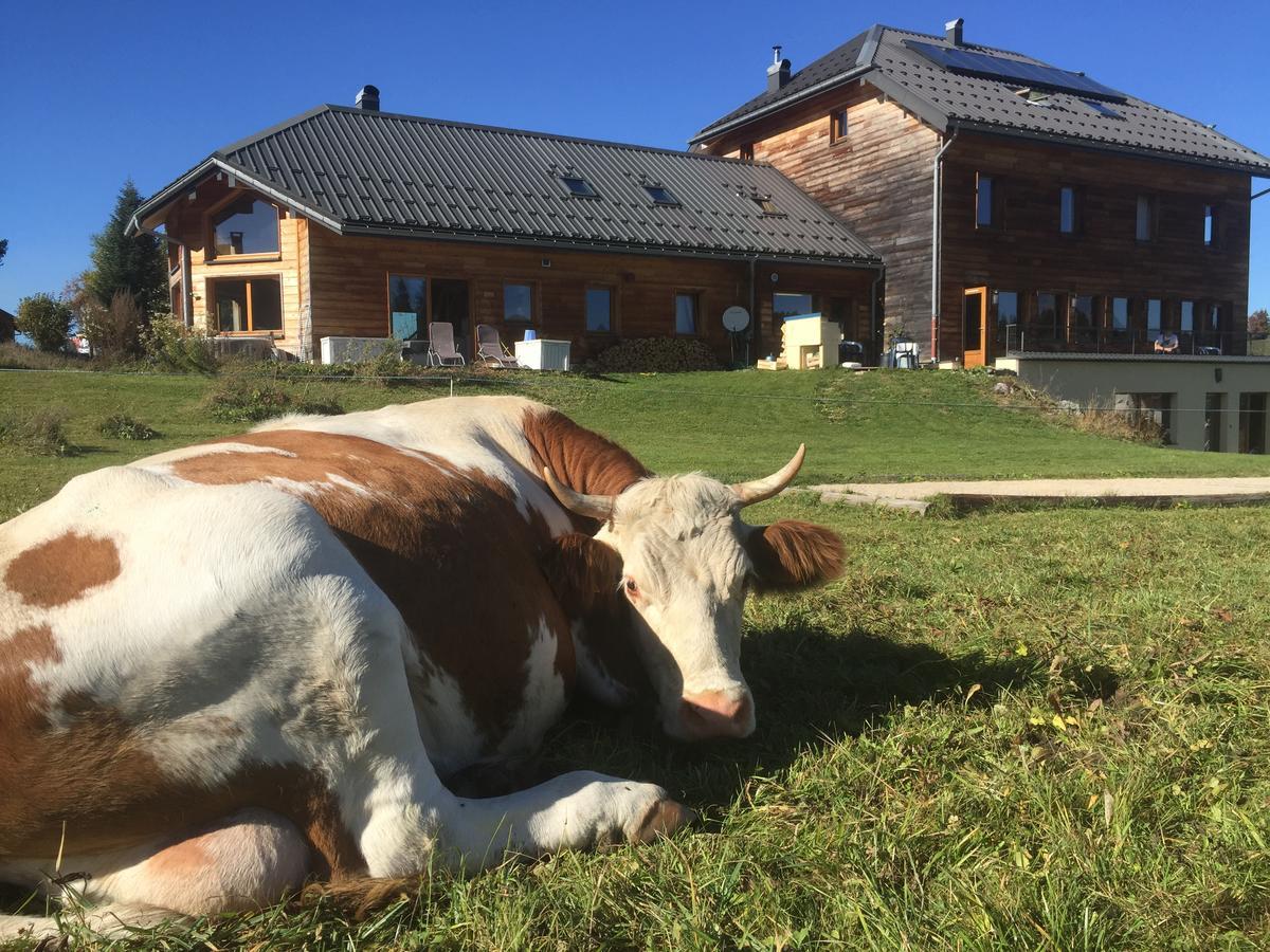 La Maison Des Inuits Hotel Septmoncel-Les-Molunes Zewnętrze zdjęcie